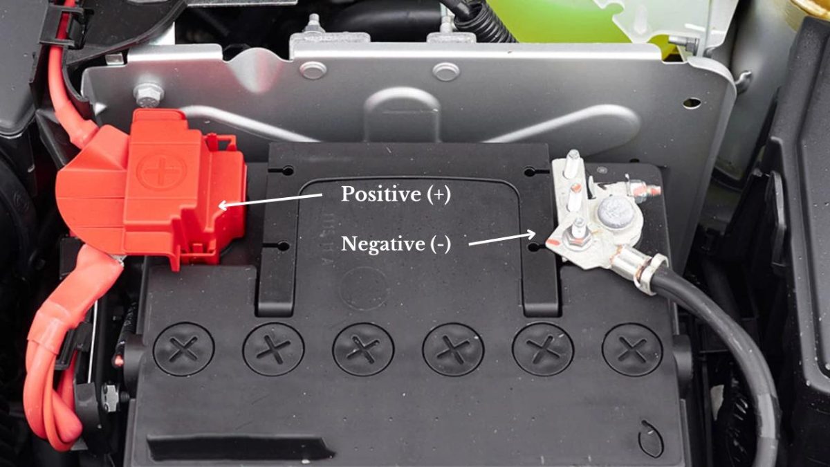 Petrol, diesel, hybrid, and electric vehicles showing their 12V and high-voltage battery systems